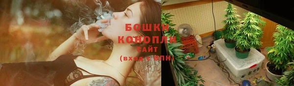 стаф Красноперекопск