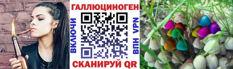 Купить закладки  Невьянск  Псилоцибиновые грибы мицелий 